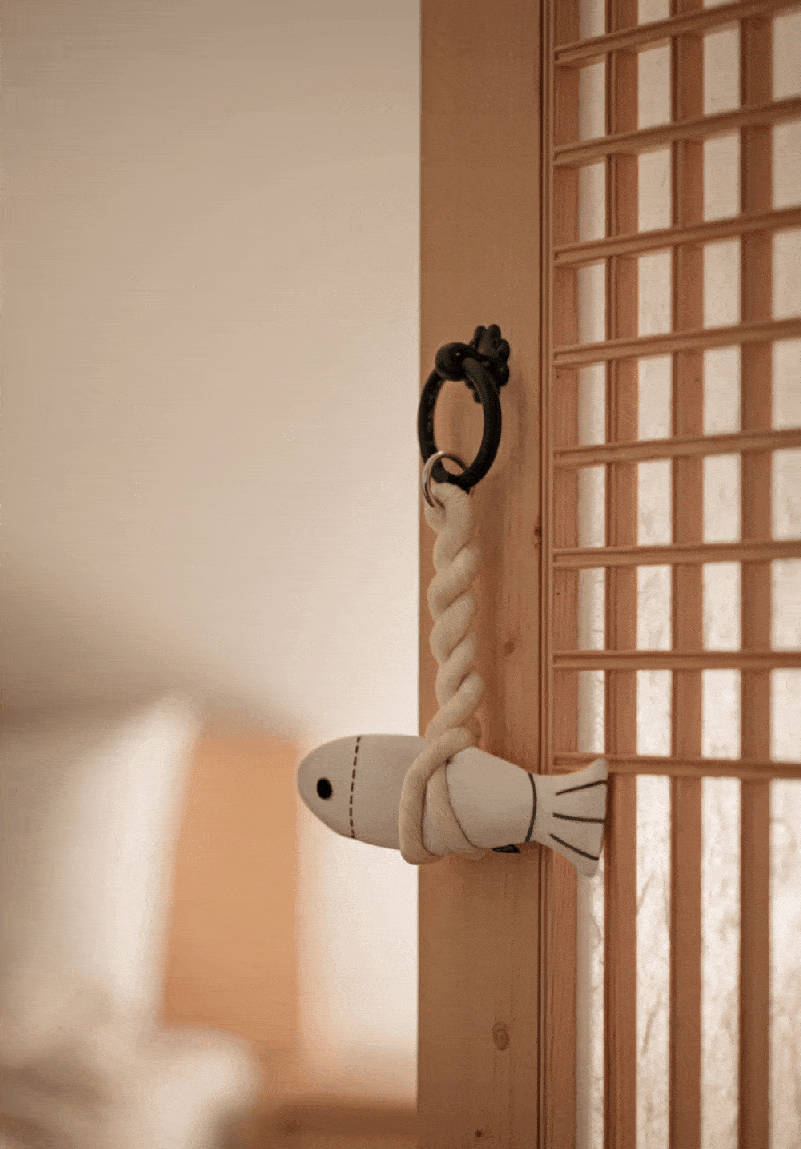 c30caf22eb6cde9ea050865a0d16fa3f_1764744315_0514.gif c30caf22eb6cde9ea050865a0d16fa3f_1764744315_0514.gif